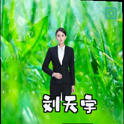 刘天宇